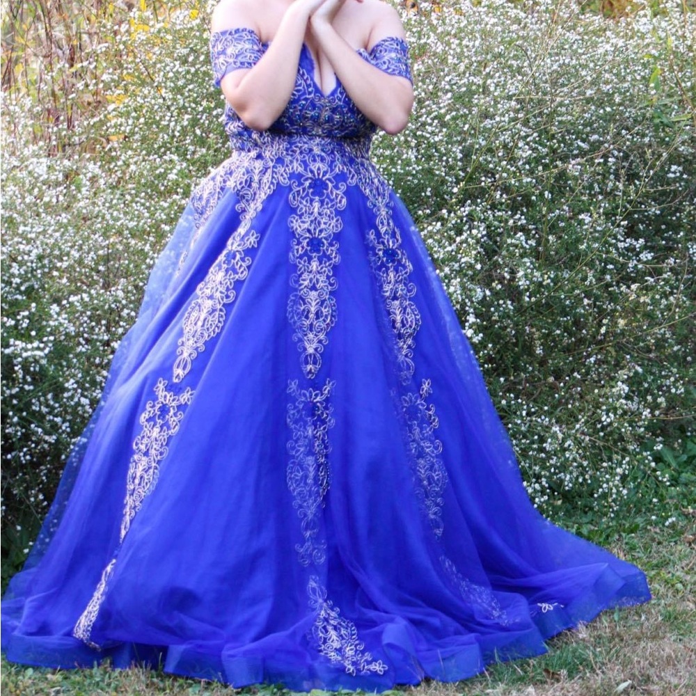 Anny Lee ball gown Dress ✨